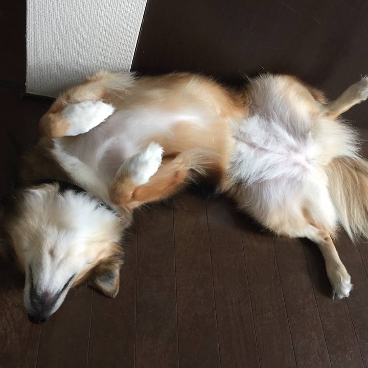 004f65f5 0d40 4605 9007 93a2f62eb2bd