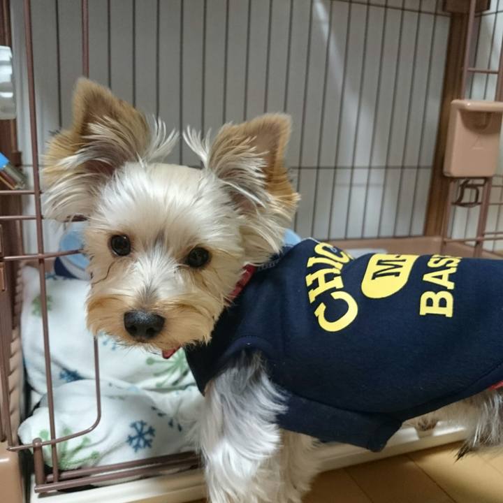 004faf61 6152 425f af6d f99d84b7f66f