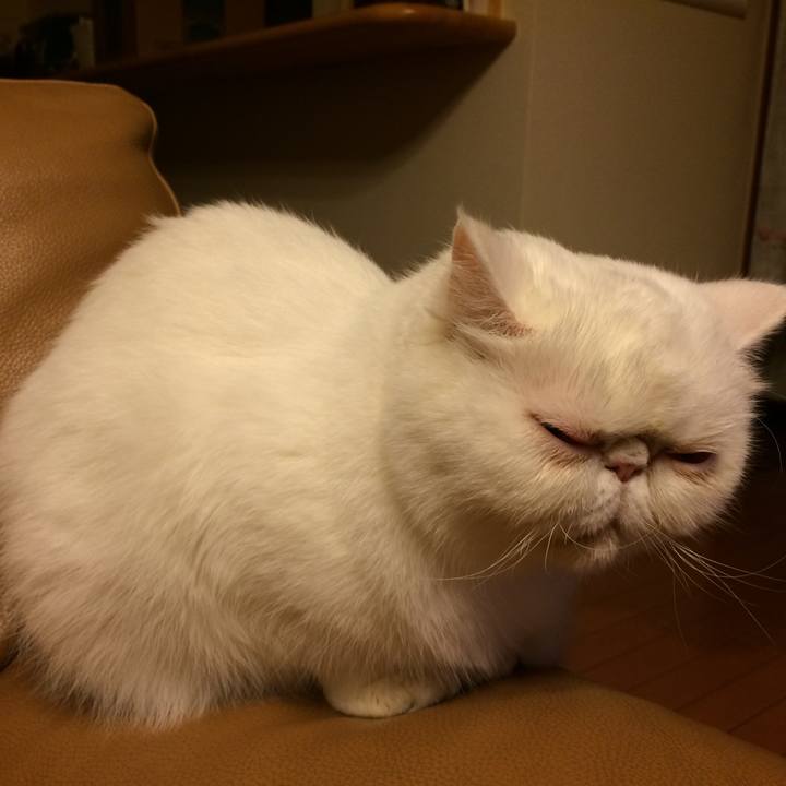 004fedbb 1c3c 4207 8d3d b94bf141e42d