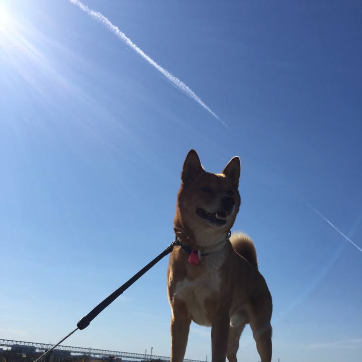 004ff233 d354 4814 9fe4 591de9bf99ce