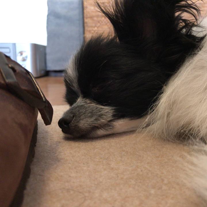 005059b4 54b6 4dc9 aa85 9cf9893f8bde