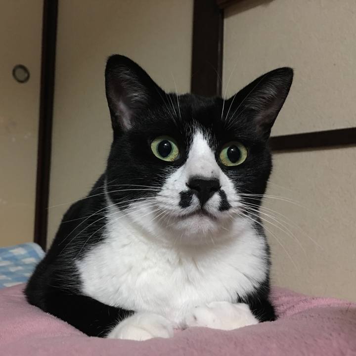 005098a1 deff 4a28 9677 1ef68ba8c51d