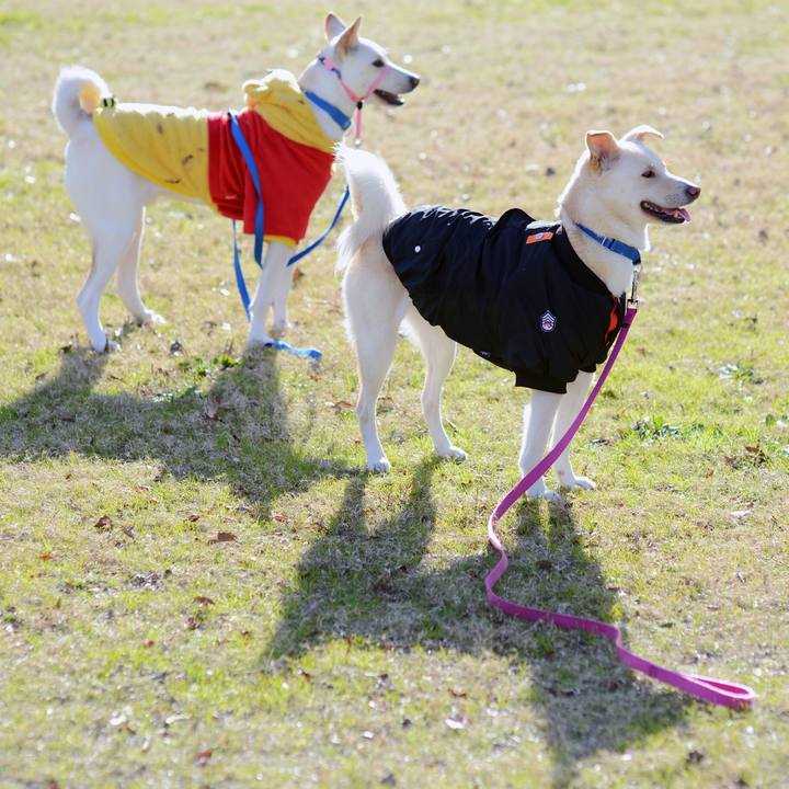 0050a254 8c00 4532 9f85 21e7f0a6172e