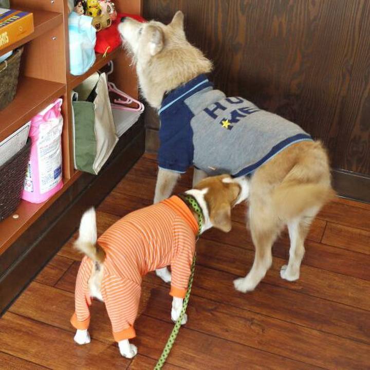 005110ea 24ae 494c b570 5b35ea092d80