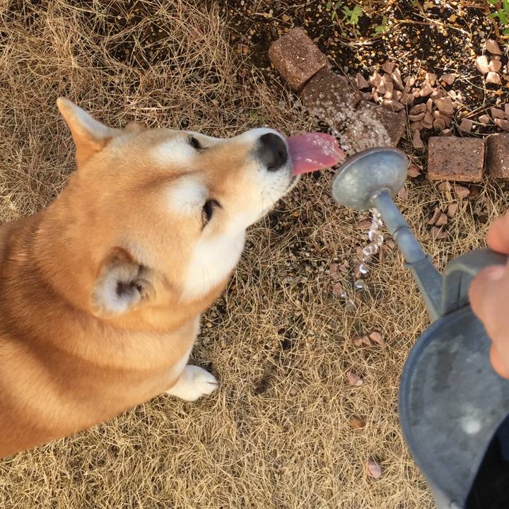 0051404e 0d45 4293 be7a c1511f691370