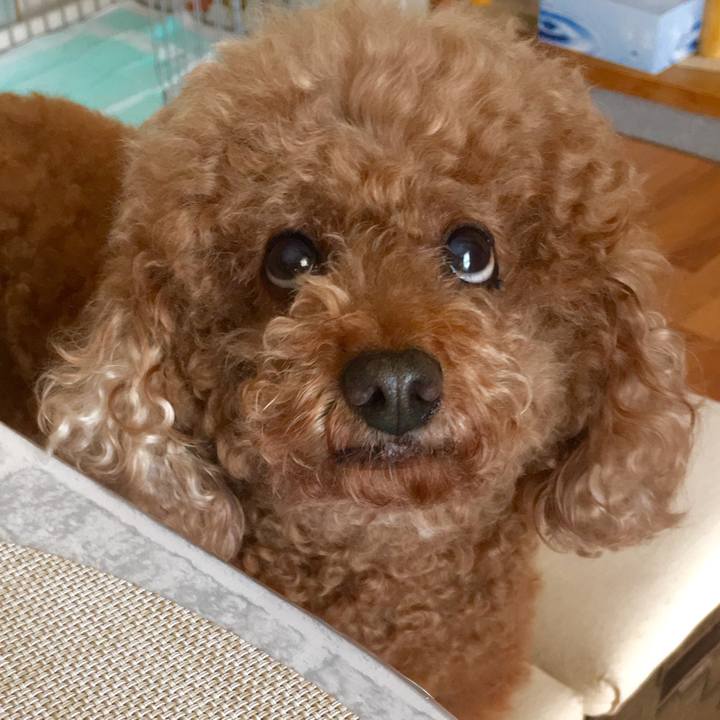 0051caa3 0f81 42c1 9274 162e00e872b2