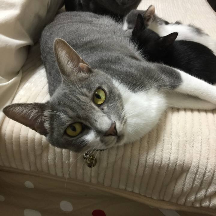 005286be ca95 4168 bea6 3971121fcb6d