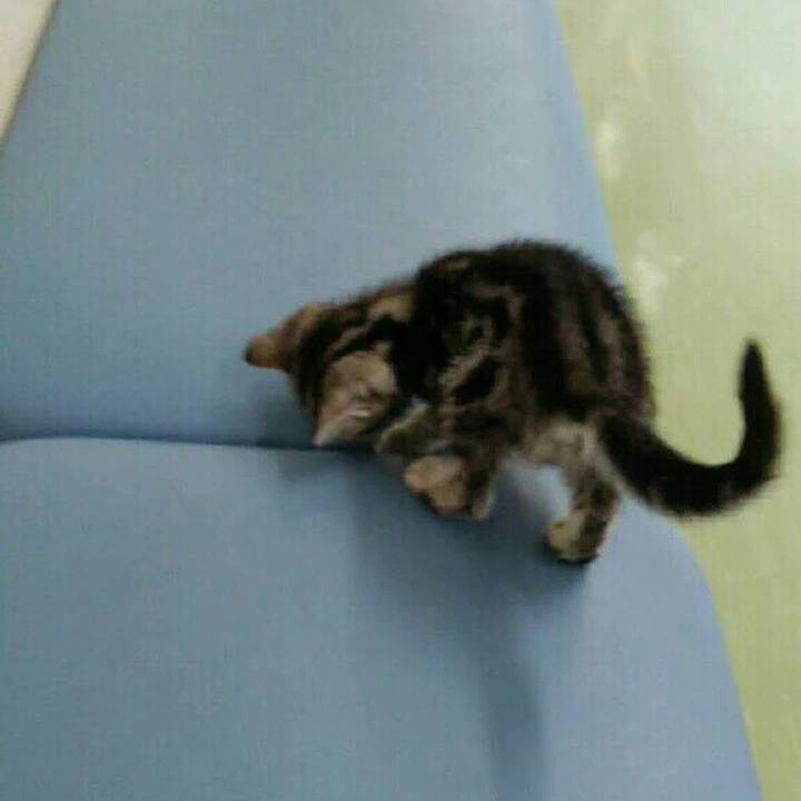 005324cd 8073 4817 b2c6 6e7daa6816e2