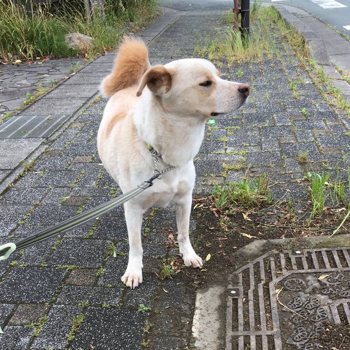 00532b4f 4eeb 4029 a27f 06cc66cf7704