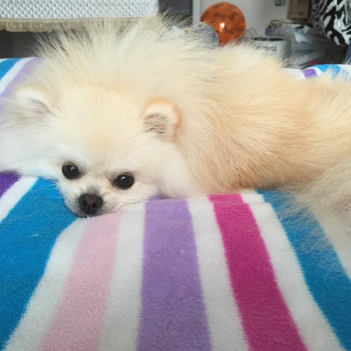 00539ee3 1936 47bb 9960 8ea673e15b68