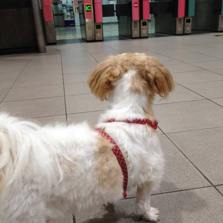 0053ab23 9513 4233 811a f06a57d6e791