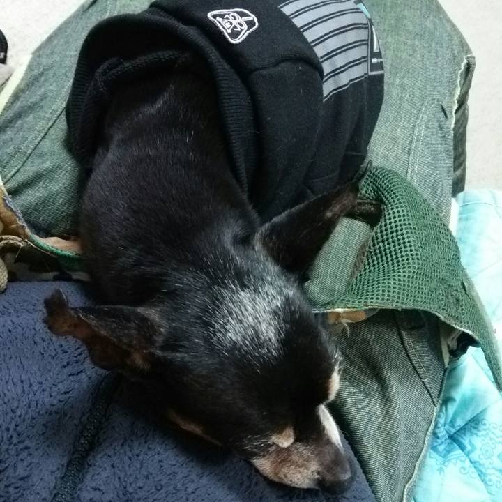 0053dd47 324b 4de0 9834 1211dc487183