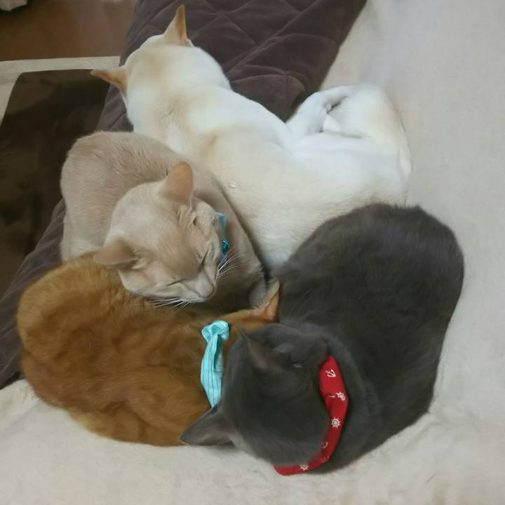 00543862 0f22 423c b7ab cff81c794dbd