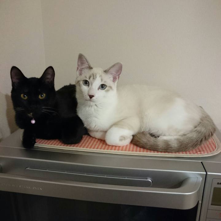 00544306 eec5 47a1 aaed 1e104a75e746