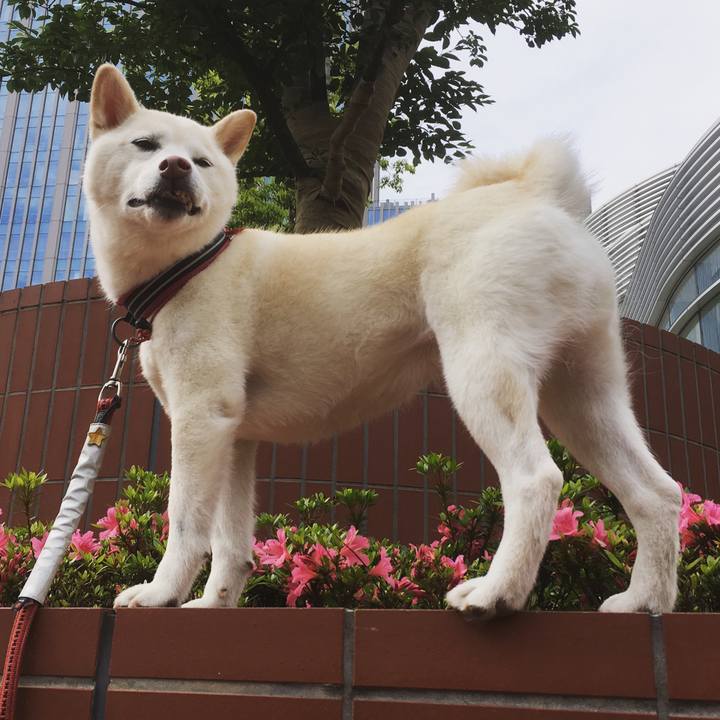 00550641 3aea 4954 997d f8d7fc276457