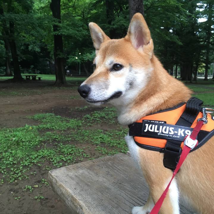 005509a9 5e27 4d7b ba16 9935e83879b0