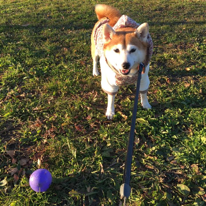 00550dbb 330c 468f b255 dac546f69f41