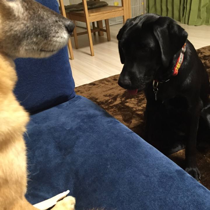 00553a24 a8d8 4a43 b691 170f64ab391f