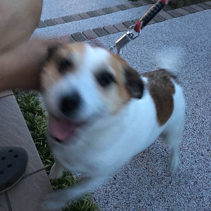 00559414 3585 4004 91f2 a75e664e4c4f