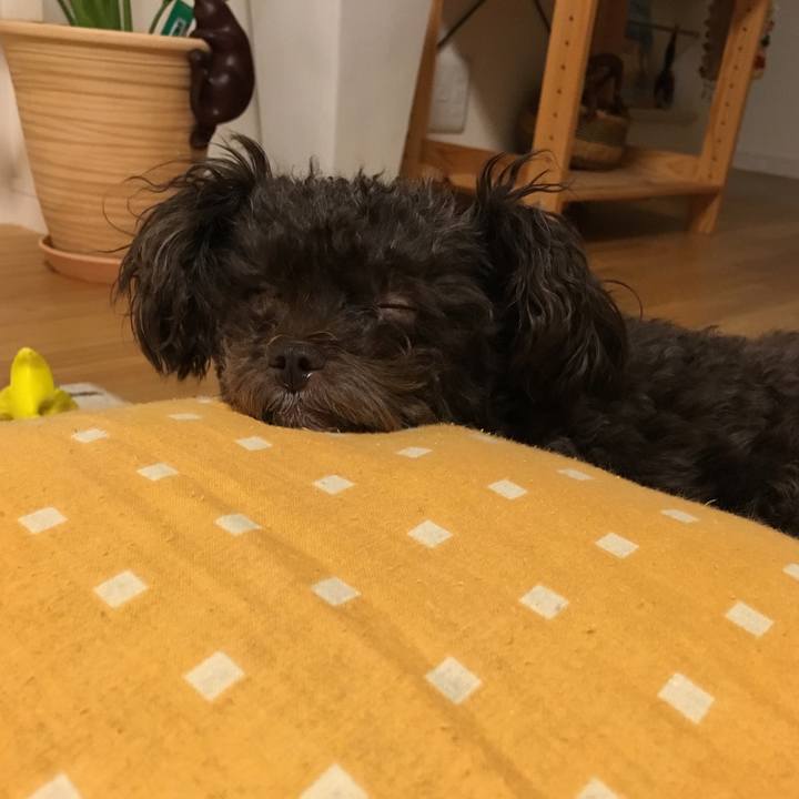 0055abc5 5f21 4a9c 88ce 8ba3de8ec032