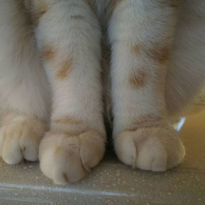 0055d16b 371a 43eb 9322 218fc7869ffb