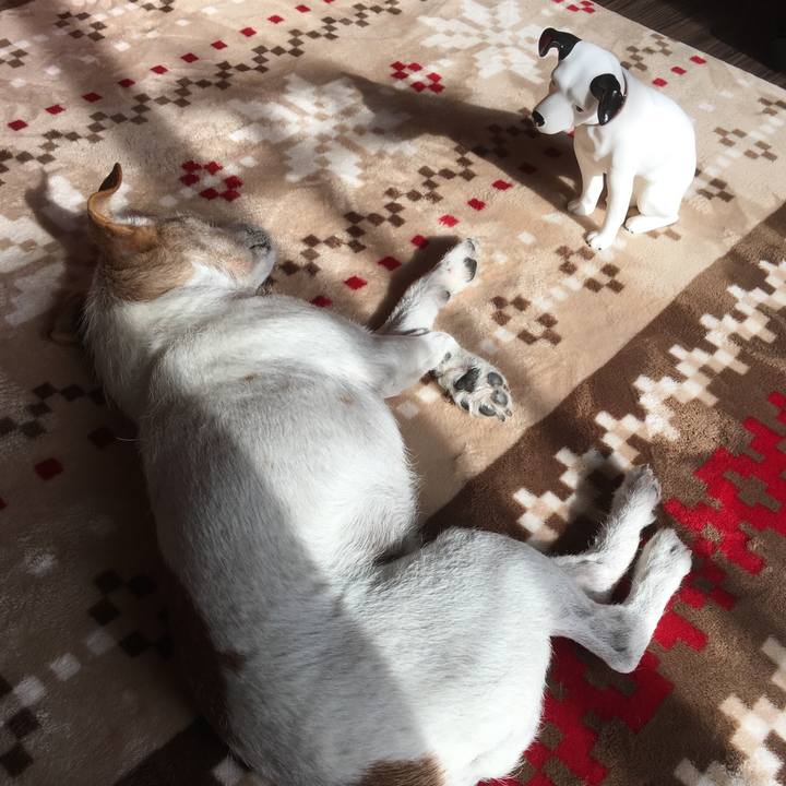 00567146 c4e6 4438 8203 6bc3a380ca69