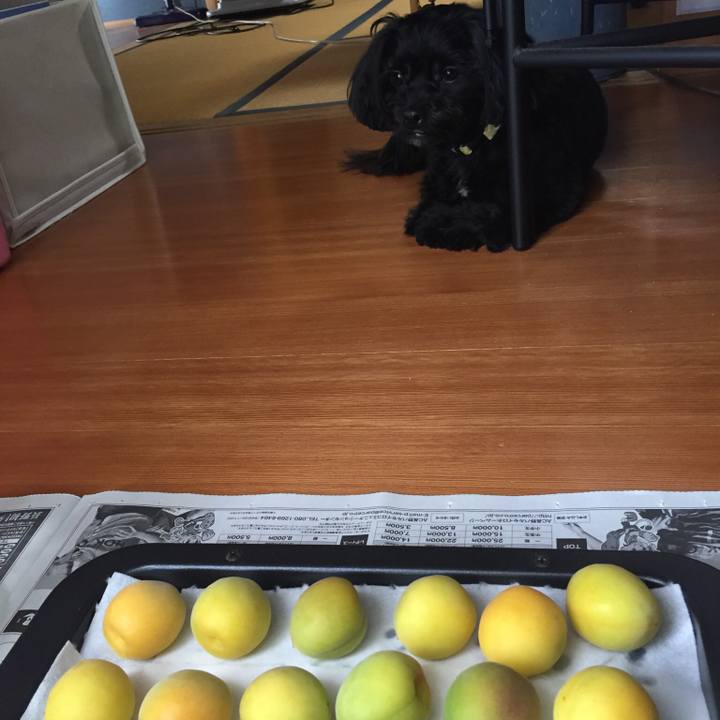 00568a74 d20e 4e5e 9596 5ba47e4d5dd9