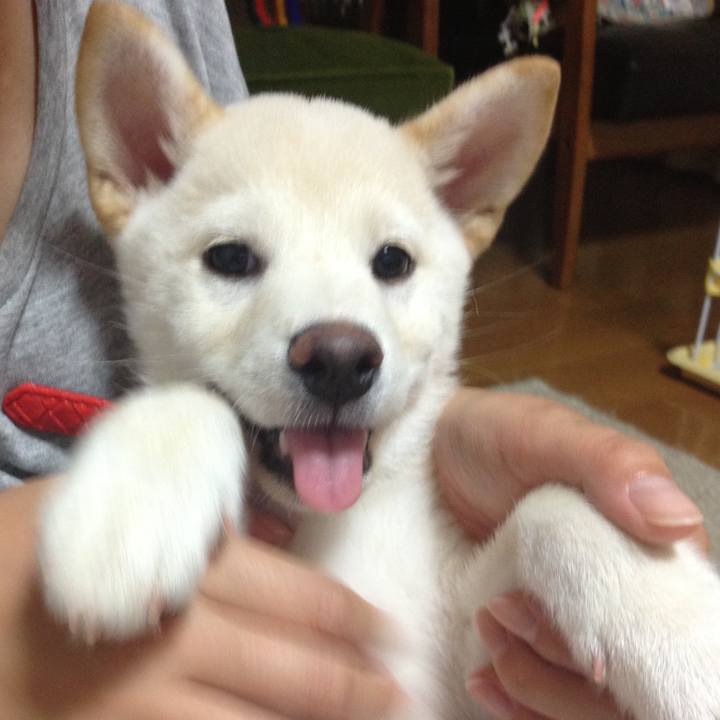 005717c8 6755 4e1b a669 e7d9fcf4e352