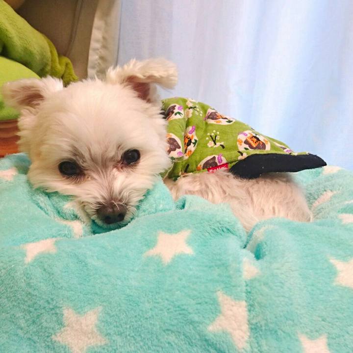 00574ae1 3ac9 4e22 8e20 929f3aefe218