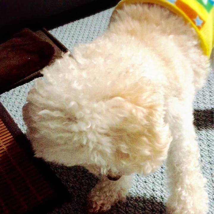 005870e5 6d87 42e6 a36f 9a2a0965b410