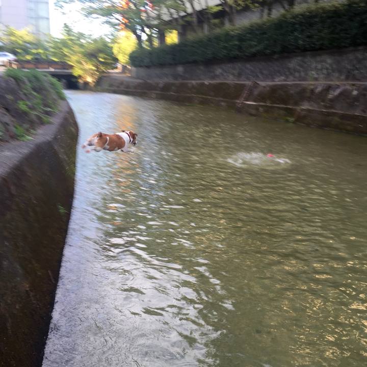 0058c1b1 e5bb 4c2c 8352 ff60668116b0