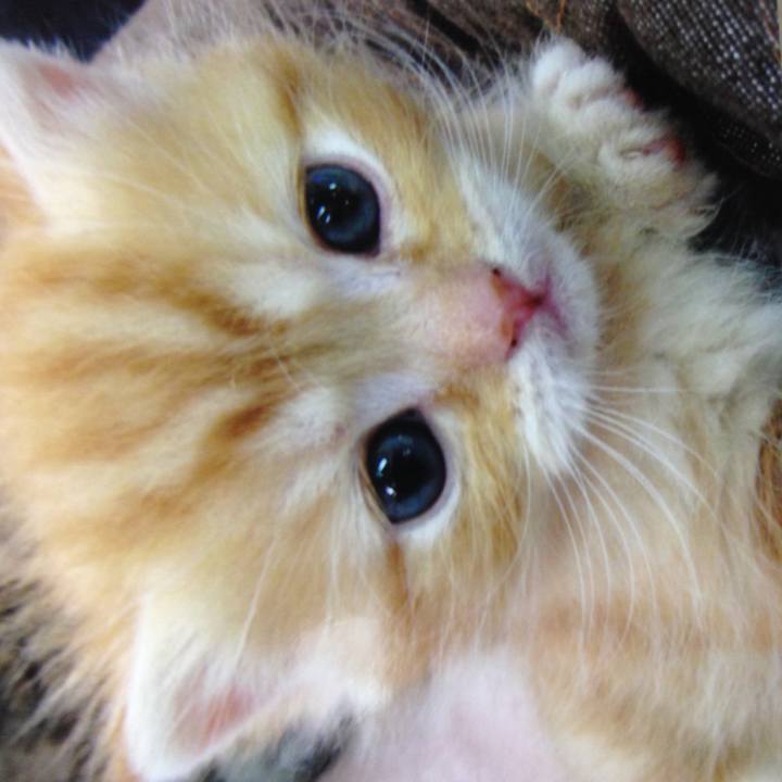 00591304 edf5 4801 b933 7981fcc1231b