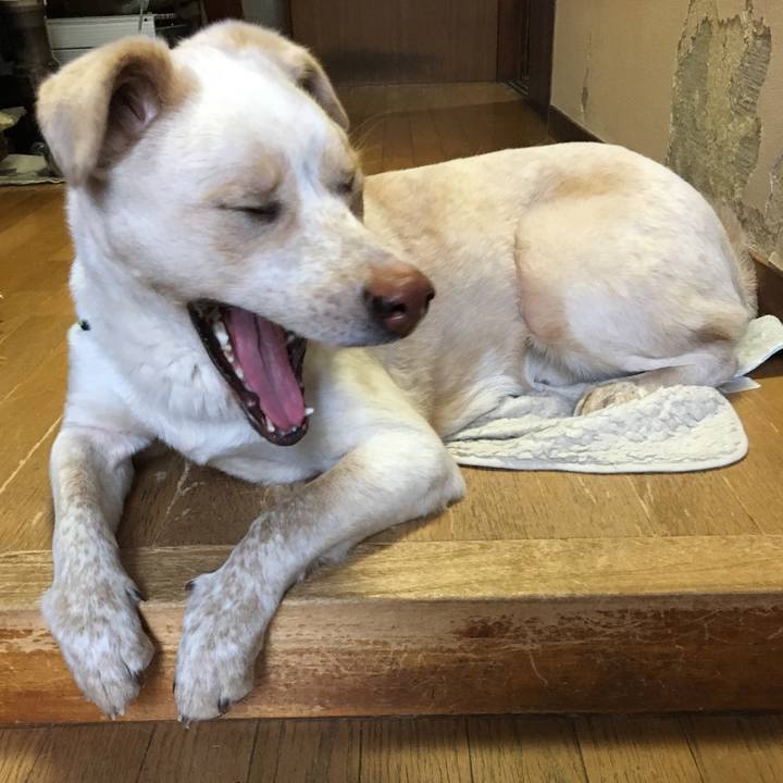 0059698f 06ad 4396 93b8 1387e94f8715