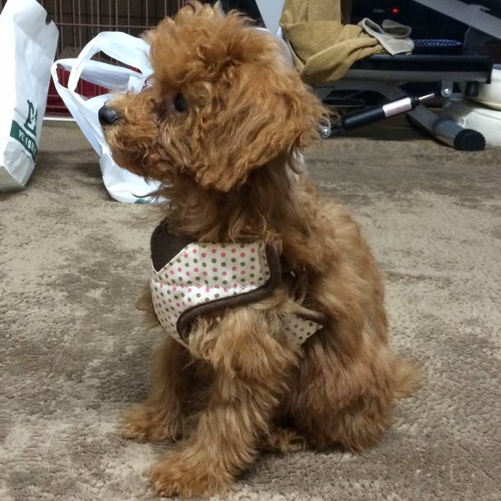 0059b053 8161 47db 90ba 97665e69b829