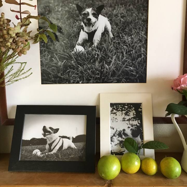 005a7fed f59b 4f04 ad77 2ba36a6c02bc