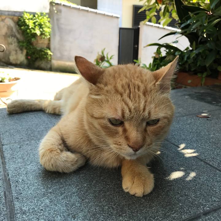 005ac5aa a544 42db b39c 0183aafafc1e