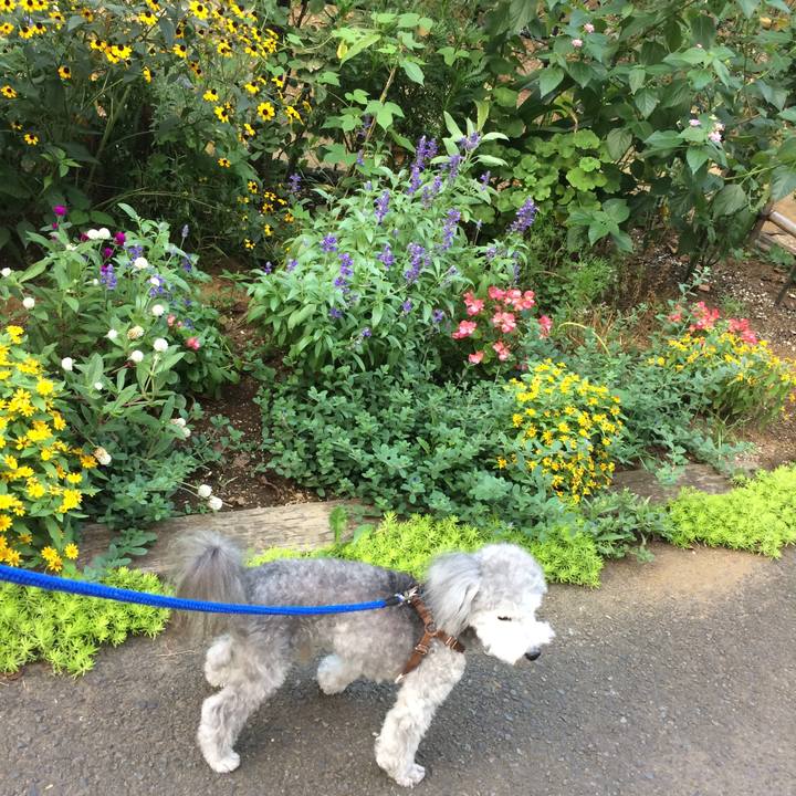 005b01b2 f12a 4788 b485 8265eb219b51