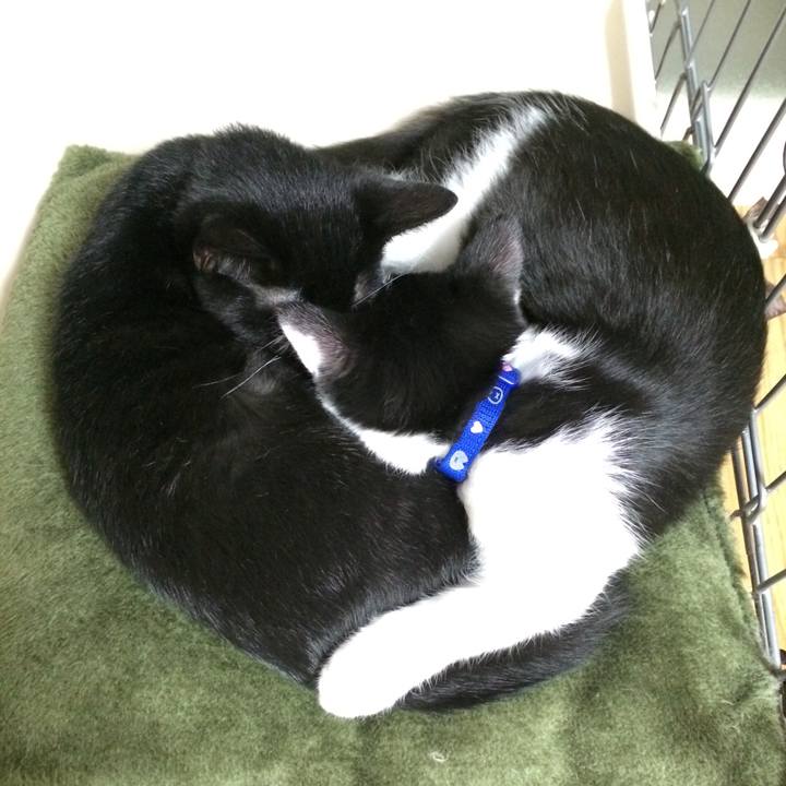 005b1264 6c60 4529 884a 3e8aa59c801d