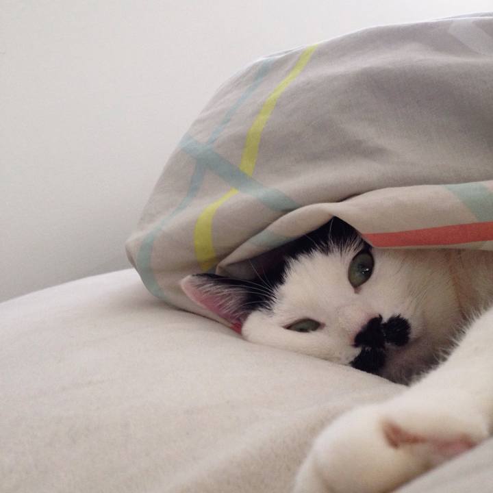 005b880a a766 4034 9337 dac62a13023a