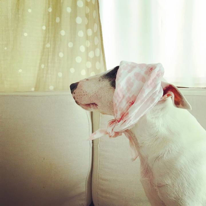 005ca408 5717 499c a359 0c5c4c1384c6