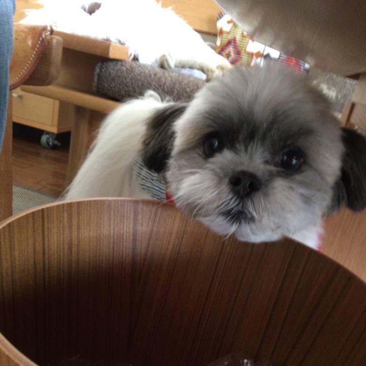 005d23fa b4ea 4b19 a174 2523bdda4472