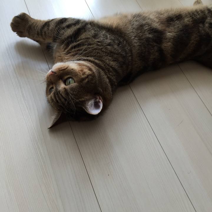 005d40fd a2bc 44f9 ae8c 7848bbcde5aa