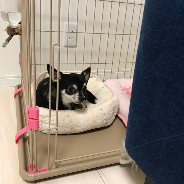 005dd9e1 097a 4213 9b06 14d475323f0d