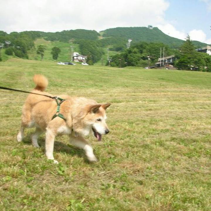 005dfec8 c28c 41eb 9922 12df71208c9f