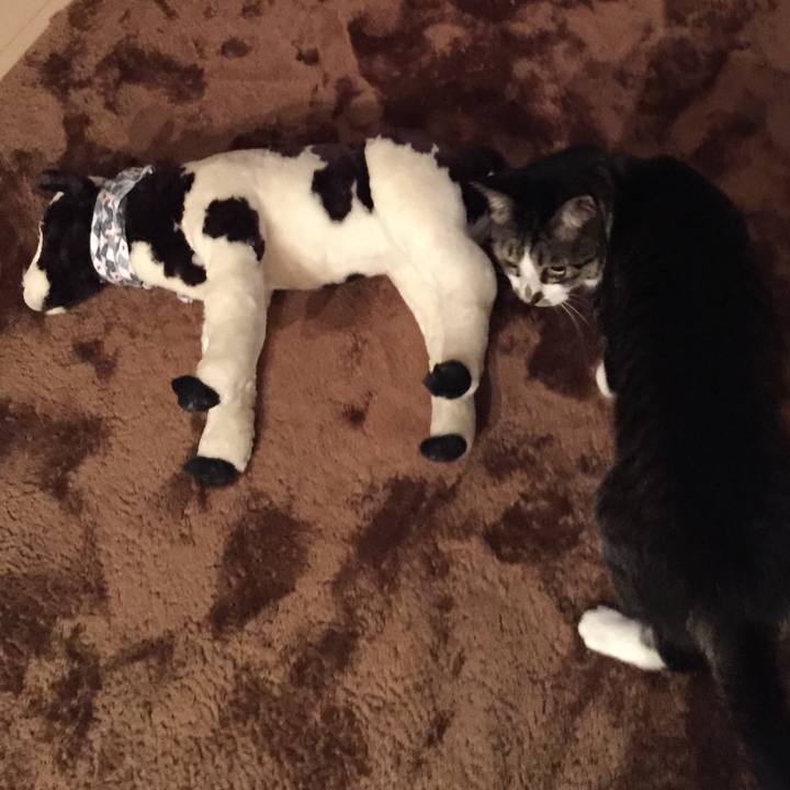 005eeb31 5e9b 4094 be9a aa72c6185306