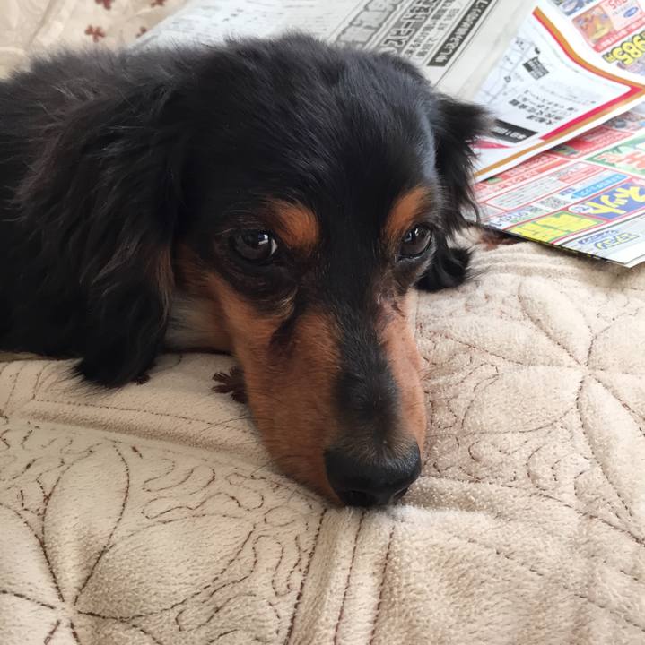 005eeccc dd85 4040 be30 325673f90796