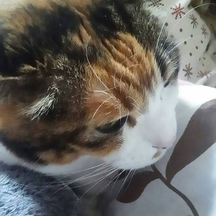 005f3727 40a1 40a8 ab1d ca5c344eb7b8