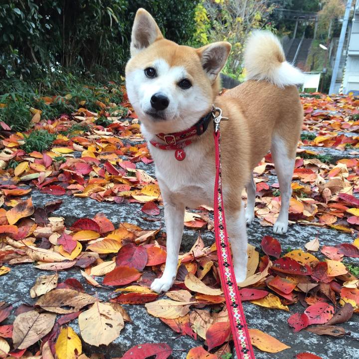 005fac2d bccf 4e36 be0c 7e5b42f29df3