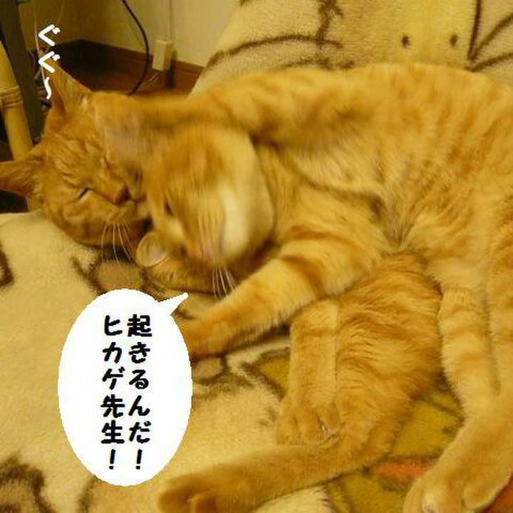 00600c41 cdcd 4f57 aabf 75c66e31979a