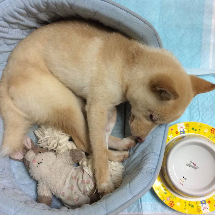 00609126 1c77 4636 bce8 b230f4daa176